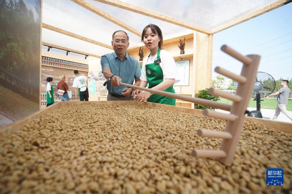 恒锋娱乐g22官方网
