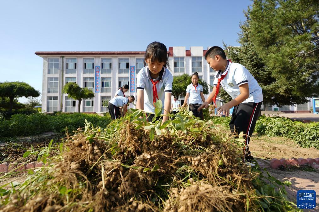 gd平台正规吗